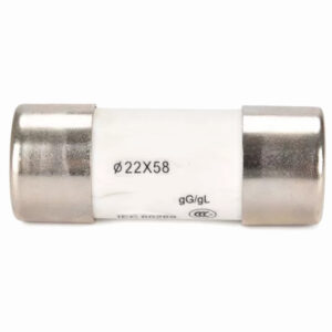 Fusivel 22X58 GG 100A DMA